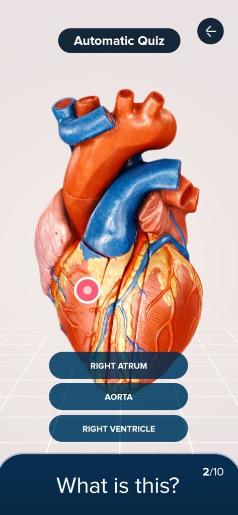 3B Smart Anatomy App – Oreka Interactive XR Solutions